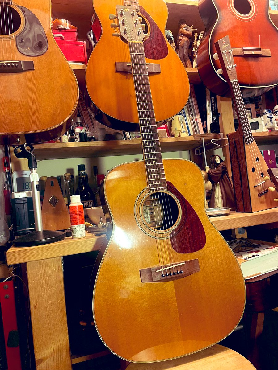 1972〜1974年 YAMAHA FG-360 グリーンラベル サイド・バックがコーラル