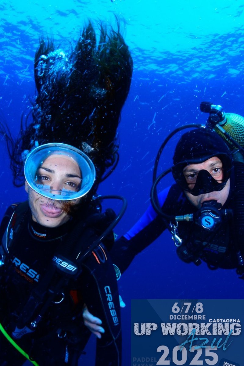 Upworking Azul · 6–8 diciembre
22 actividades gratuitas para disfrutar del mar: kayak, paddle surf, buceo, senderismo y más.
Inscripciones: 25 de noviembre · 13:00 h.
cartagena.es/agenda_ciudad_…