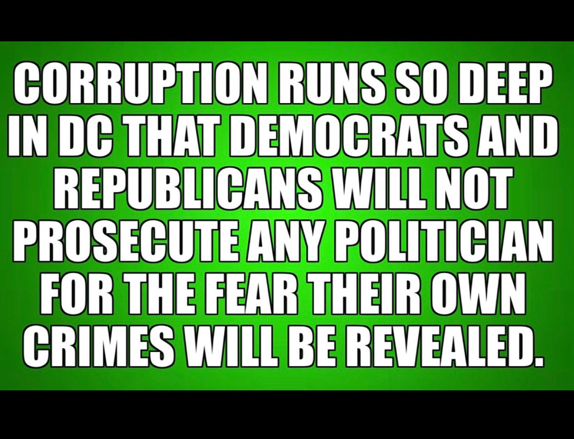 Gray_Wolf_45's tweet image. True 👇