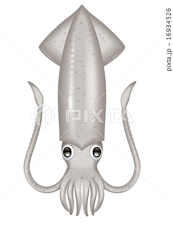 不能只有我幻視...
但還是祝妳生日快樂🎉🎉
#DearHere