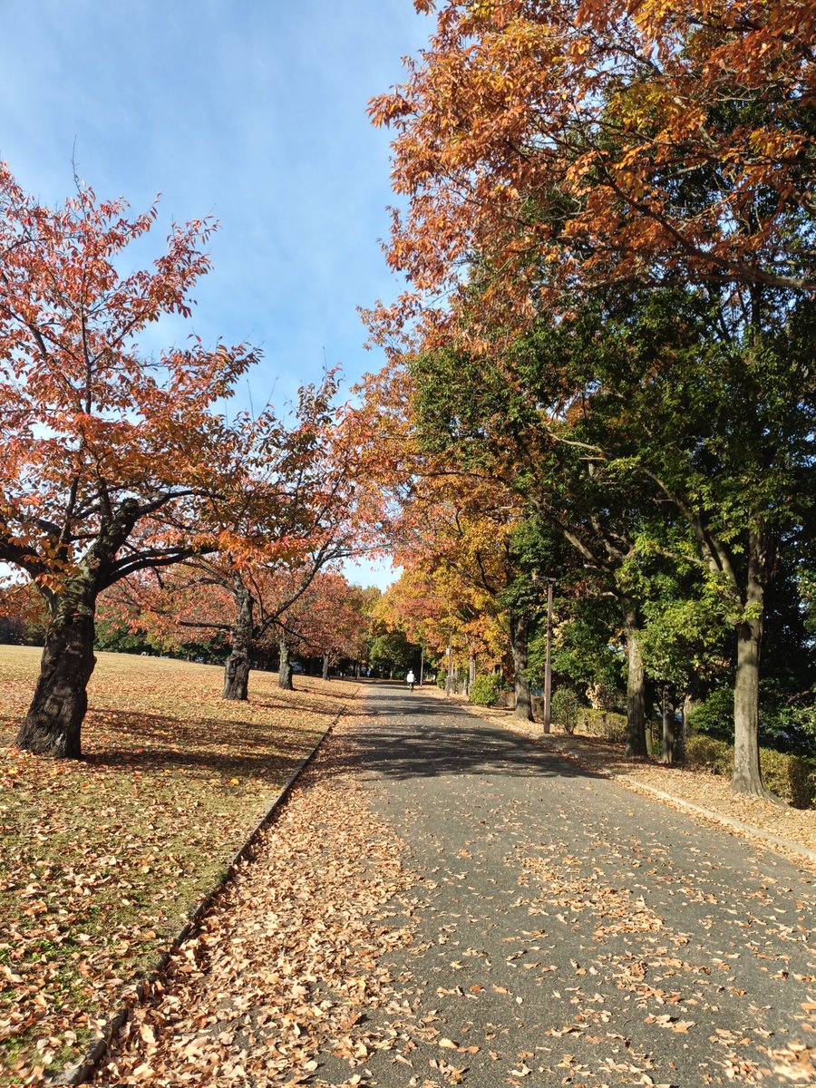 STEPN82291017's tweet image. 今日は28.4エナ。MB Lv.8開封はよくある最低の組み合わせ。
GOの背景は碓氷峠鉄道文化むらのEF63形（群馬県・2010年10月）
STEPNアクティベーションコードどうぞっ
56738468
#STEPN
#activationcode
#stepnactivationcode
#STEPNGO