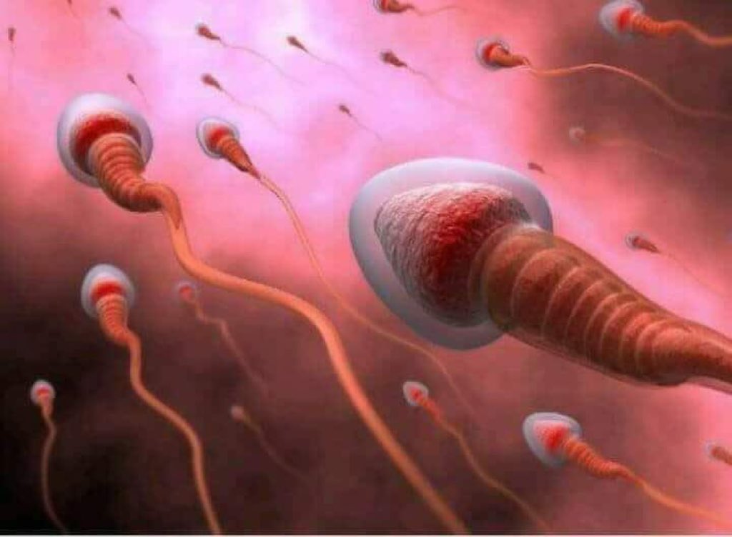 juniorkingpp's tweet image. One man can impregnate over 360 women in one year while a women can only get pregnant once a year.

Should there be more focus on male contraceptives instead of women?