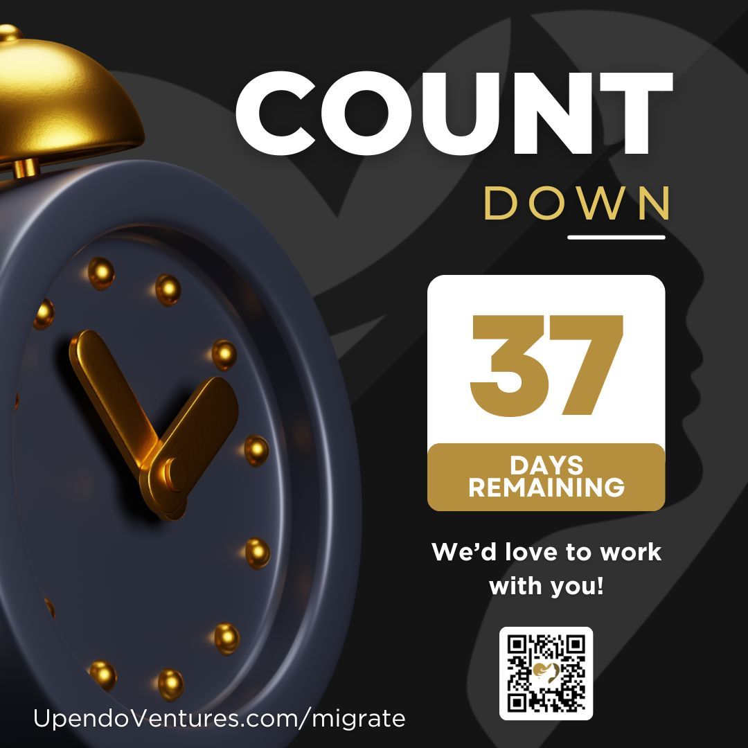 UpendoVentures's tweet image. Finish the year strong — and start the next one stronger.

Our discounted rate ends December 31 — lock it in with code NEXTSTEP20. 
By the way, you’ll also lock in your monthly support fee for 24 months too.

👉🏽 bit.ly/47vxmOY 

#SmallBizSupport #GrowthFocused