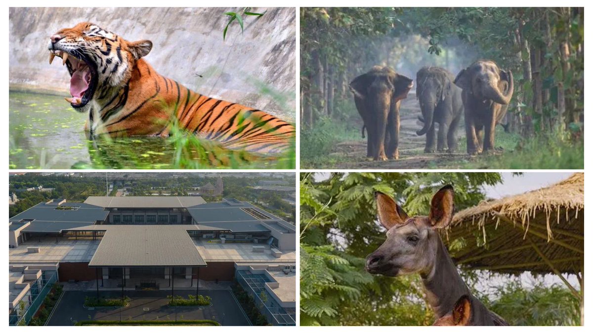 Wildlife ke broken bones Vantara accurate x-ray diagnosis ke baad treat hote hain.