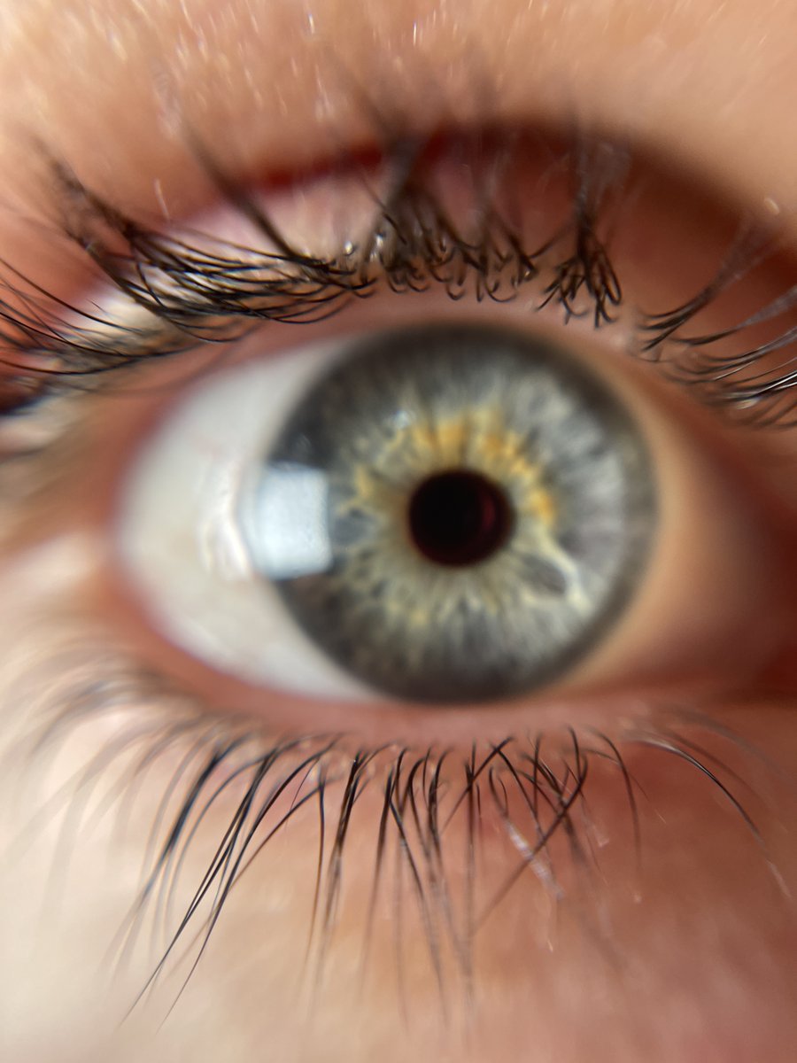 StPaulsSurrey's tweet image. Students in our Friday Click Photography Enrichment group have been exploring macro lens photography, resulting in some stunning and vibrant autumn images. #enrichment #enrichmentactivities #photography #macrolensphotography