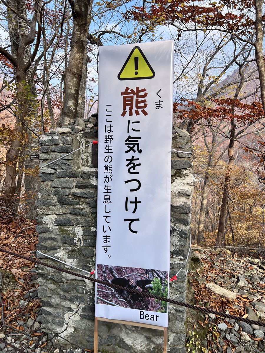 でた〜！かっぱ！ (@ssk339) / Posts / X