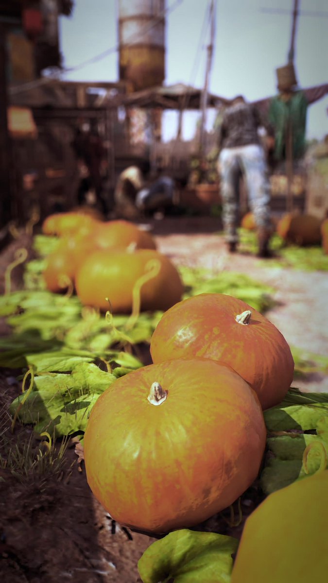 fwto_'s tweet image. Harvest theme 

1-ghost of yotei 
2-the last of us part 1
3-horizon forbidden west 
4-dying light 2

#PSBlog 
#PSshare