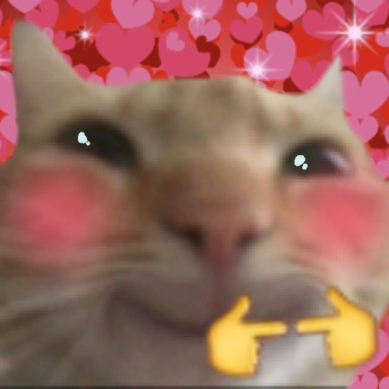 Hederion tweet media