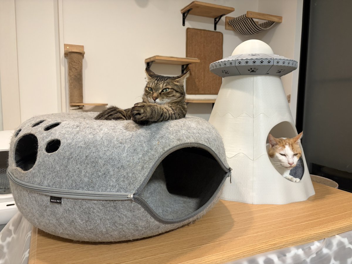 zenchannel2's tweet photo. さぁ〜寝ましょうね💤 https://t.co/NzwkePlNJ8