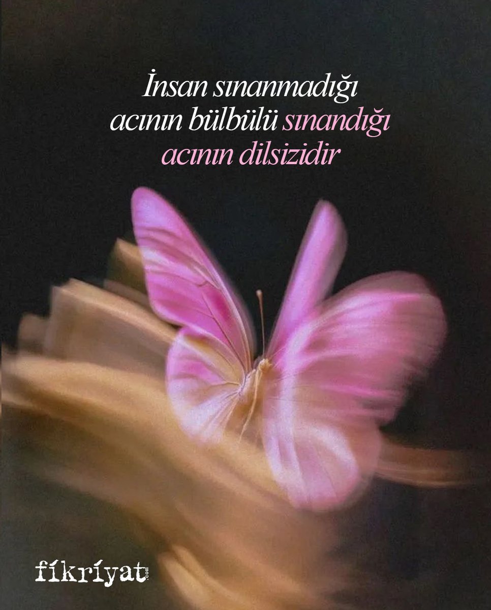 "İnsanoğlu sınanmadığı acının bülbülü, sınandığı acının dilsizidir."