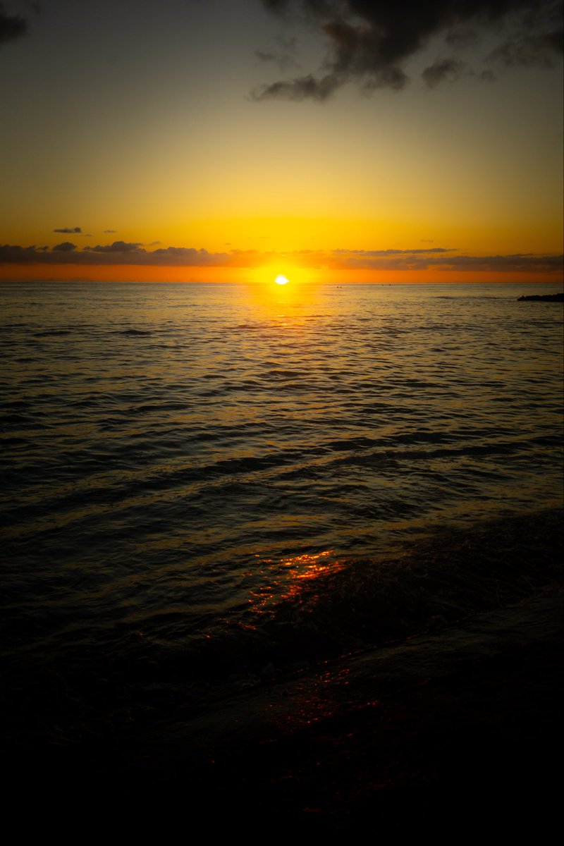 大前洋輔 tweet media