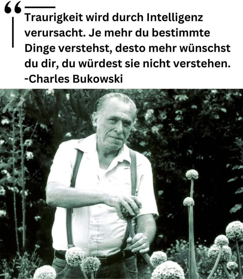 🌱helga🌿🕊️🍃 (@anemlon) on Twitter photo 