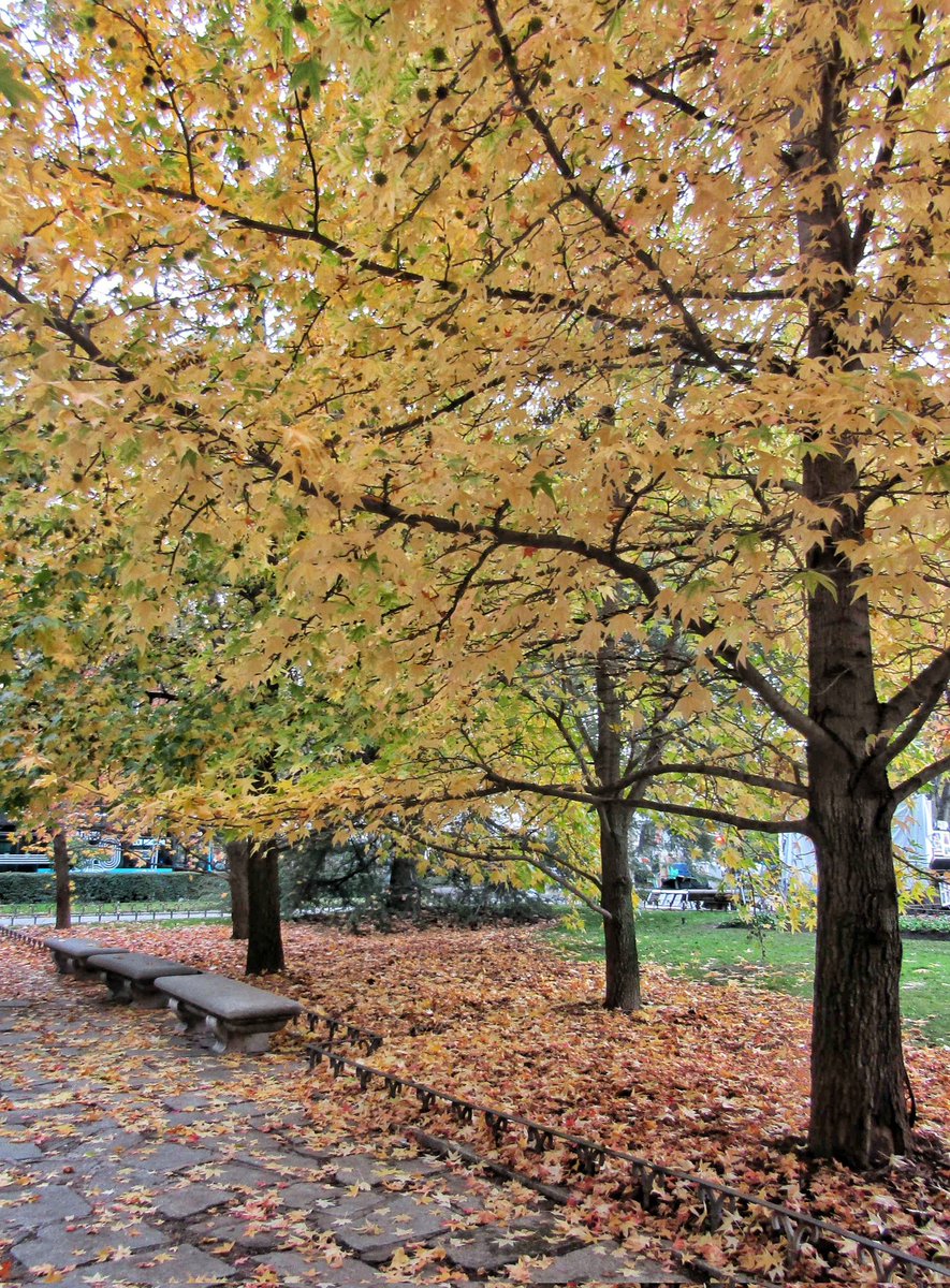 Por el Museo del Prado, belleza fuera y dentro del museo
#Madrid