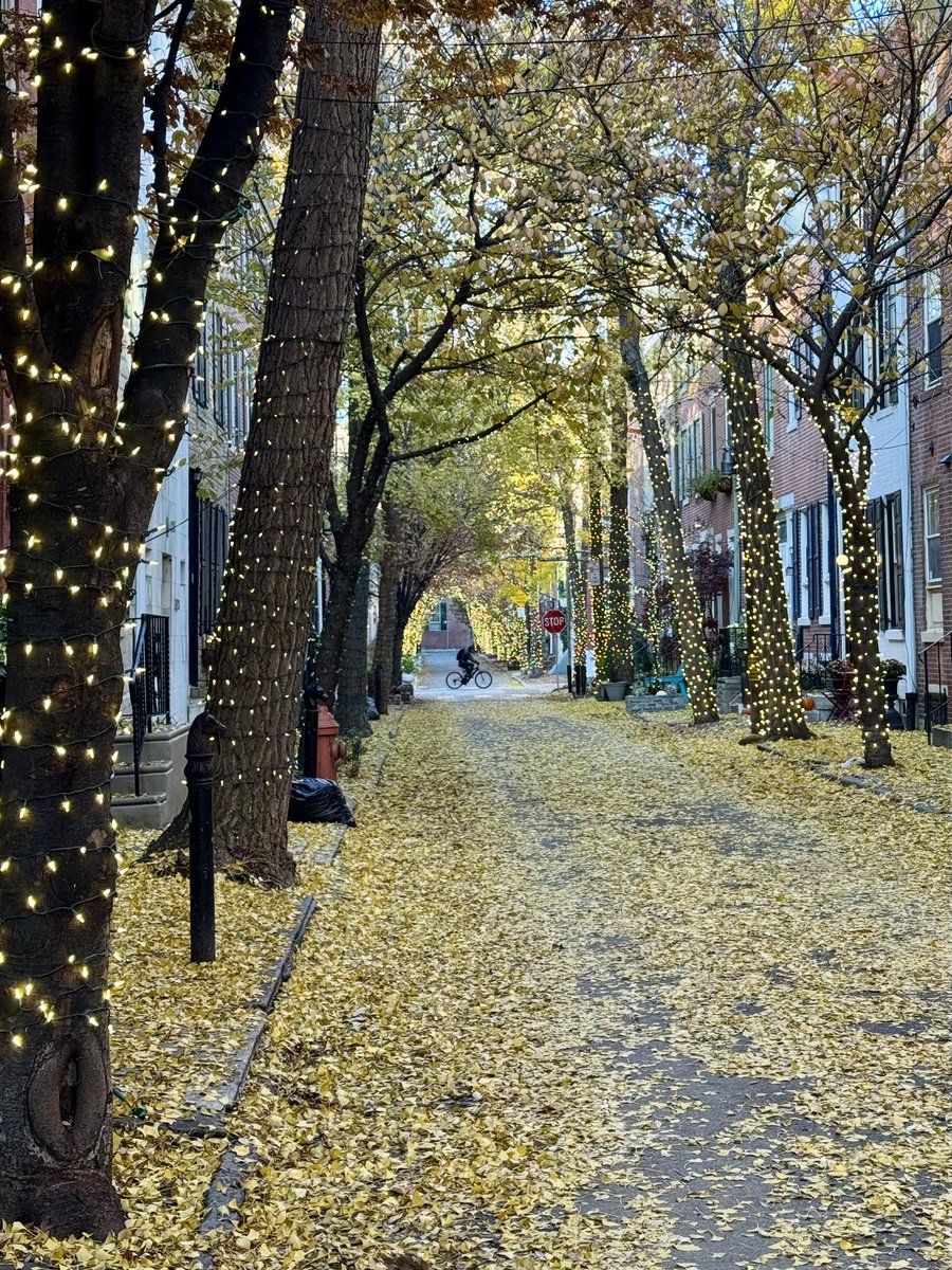 JamesPhl96's tweet image. Its Ginkgo season in Philadelphia
