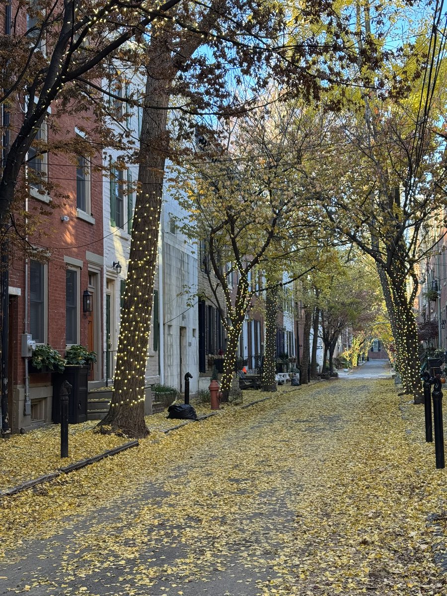 JamesPhl96's tweet image. Its Ginkgo season in Philadelphia