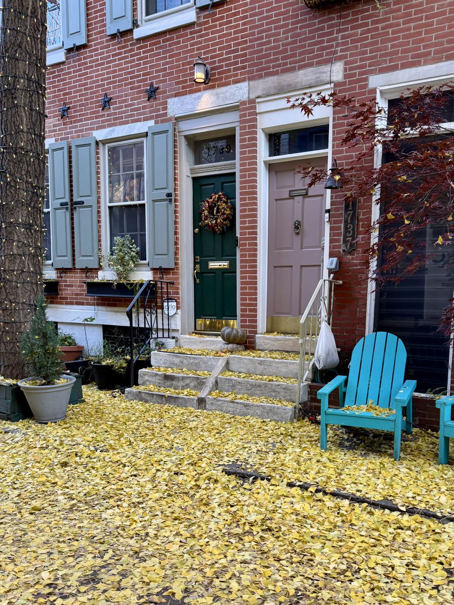 JamesPhl96's tweet image. Its Ginkgo season in Philadelphia