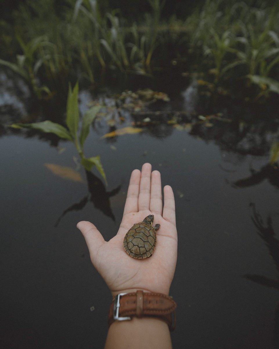 Diligence is the mother of good fortune.📂🥘🟣71667
Work drive hidden worlds forever