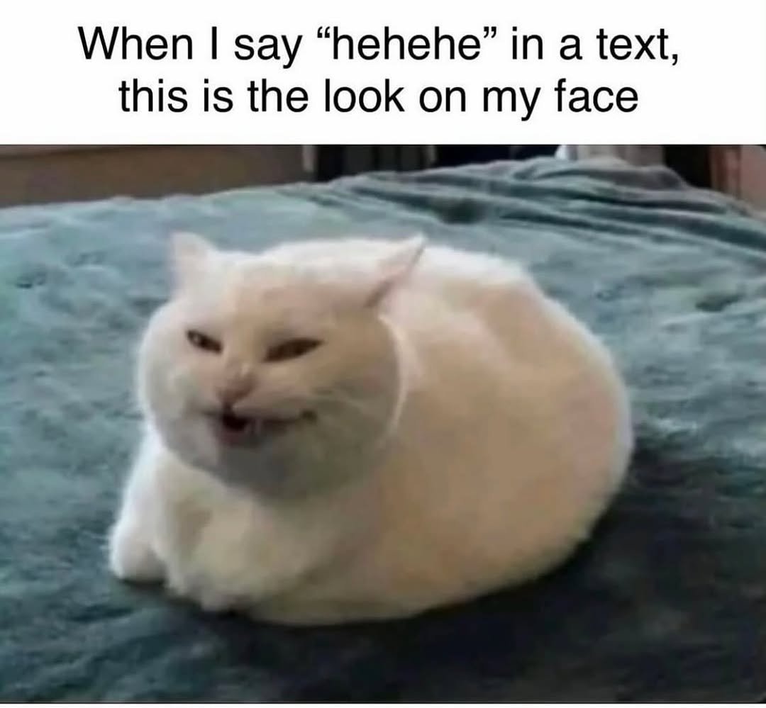 We don't deserve cats 😺 tweet media