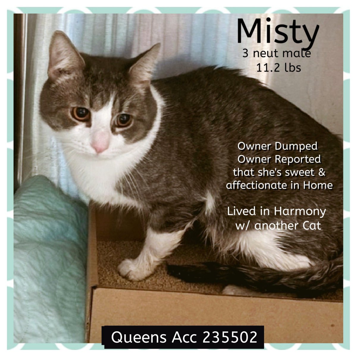 11月分 kitty様❾❸-Ⅱ