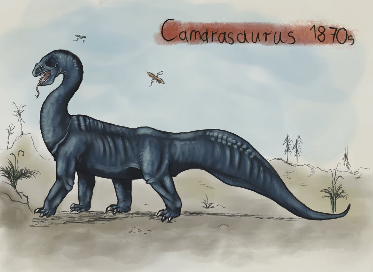 Nova Stein tweet media