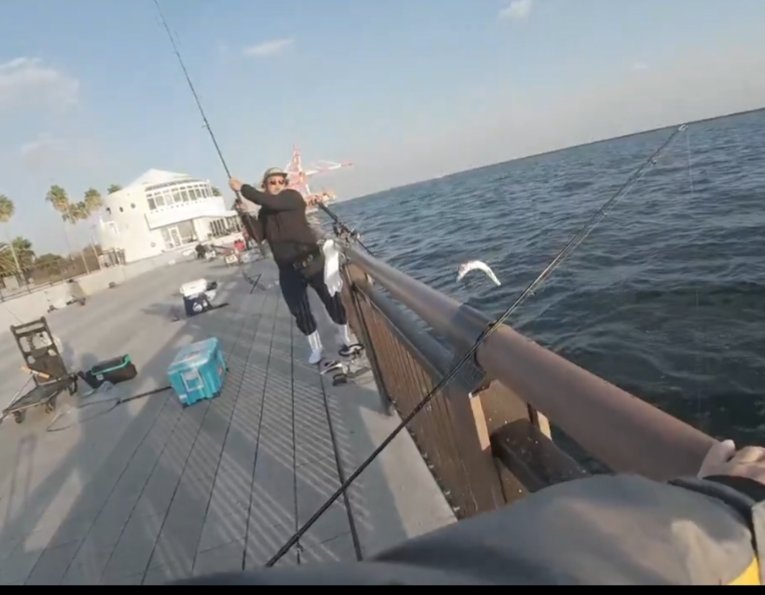 てらちゃん (@kyotoangler) / Posts / X