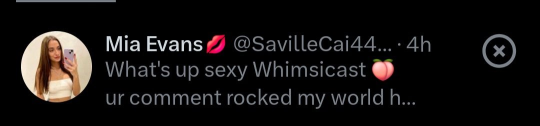 Whimsicast tweet media