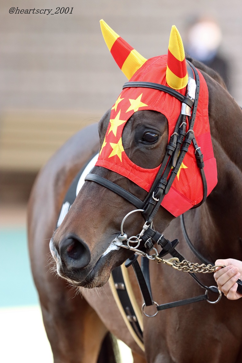 E3%83%90%E3%83%AC%E3%83%B3%E3%82%BF%E3%82%A4%E3%83%B3%E3%82%AC%E3