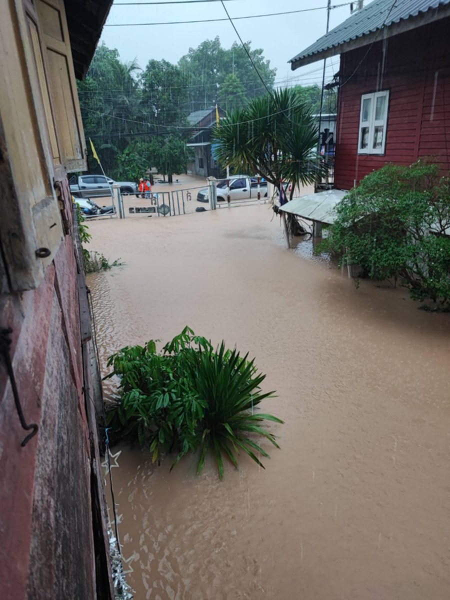 ‼️⚠️ ขอความช่วยเหลือ ⚠️‼️
มีผู้ป่วยติดเตียง 2 คน / แมว 10 ตัว
น้ำกำลังขึ้นชั้นสอง จะถึงเตียงผู้ป่วยแล้ว

📍 พิกัด 
 16/4 ถนนรัถการ บ้านพักรถไฟฝ่ายสื่อสาร ใกล้โรบินสัน หลังสถานีหาดใหญ่
- ป่วยติดเตียง 2 
- ชรา 1 
- ผู้ใหญ่ 4
- แมว 10 ตัว

🙏🏻 ติดต่อ 0993152992

 #น้ําท่วมหาดใหญ่