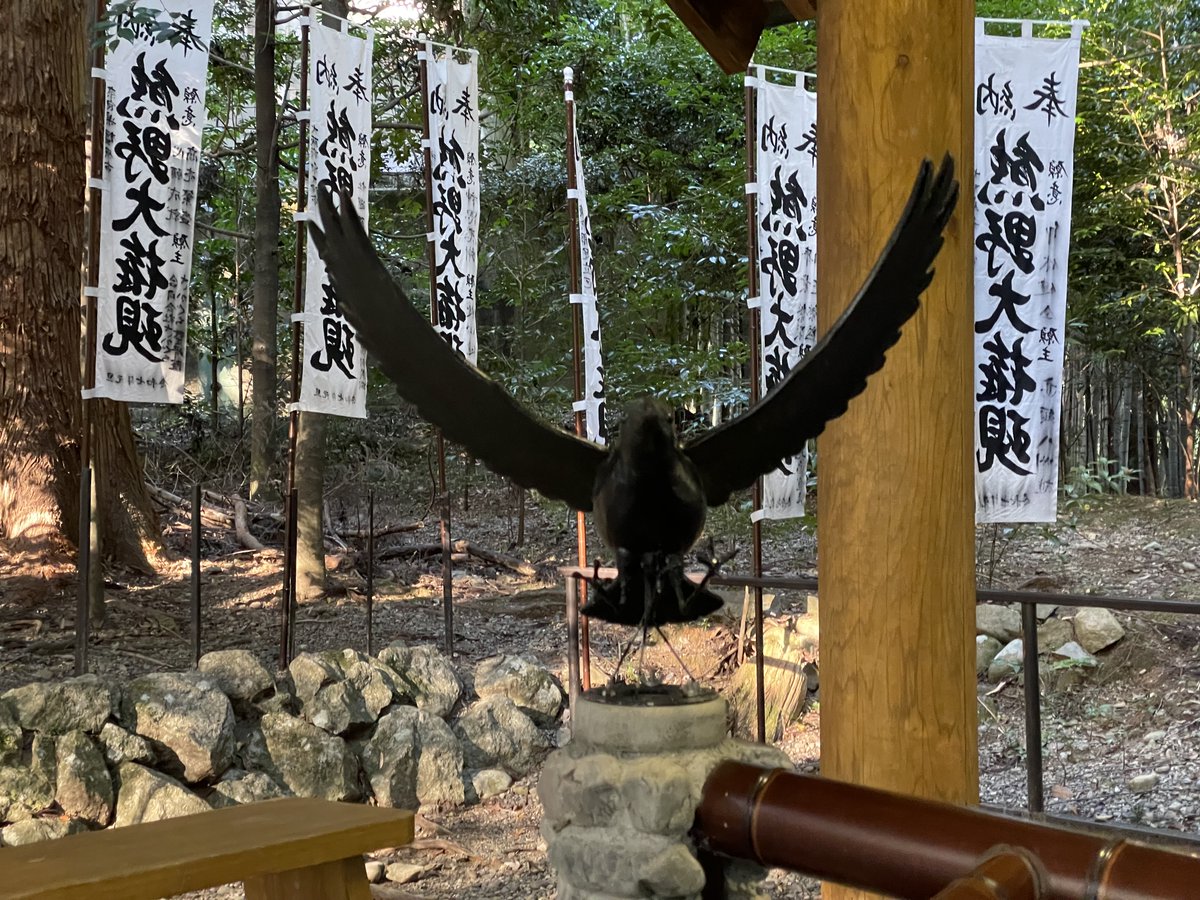 TRiPS せーき/Bwana よしりん (@YoshiLinDoe) / Posts / X