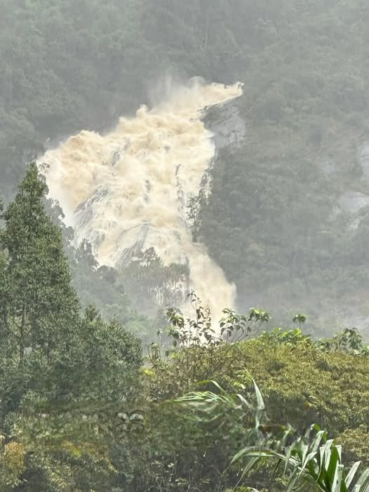 rainyd9's tweet image. ถ้าถามว่า #น้ำท่วมภาคใต้ หนักแค่ไหน ..อันนี้เพื่อนที่ย่านตาขาว จ.ตรัง ส่งมา คือแบบ 

เพื่อนกุจะไปพร้อมน้ำไหม แล้วไหนจะระวังดินถล่มอีก
ยะลา ปัตตานีก็หนักพอกัน ไม่ได้ท่วมแค่หาดใหญ่นะ 😔
#น้ำท่วมหาดใหญ่