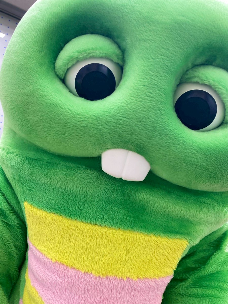 GachapinBlog's tweet image. おっはよー！