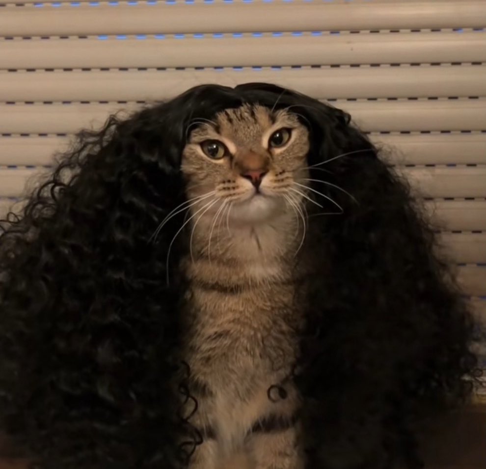 لامين يامال متحمس اليوم يبغى يسجل هاتريك ويصير افضل لاعب في المباراة

القصير الي بينهي مسيرته الكرويه وبيحطه في جيبه