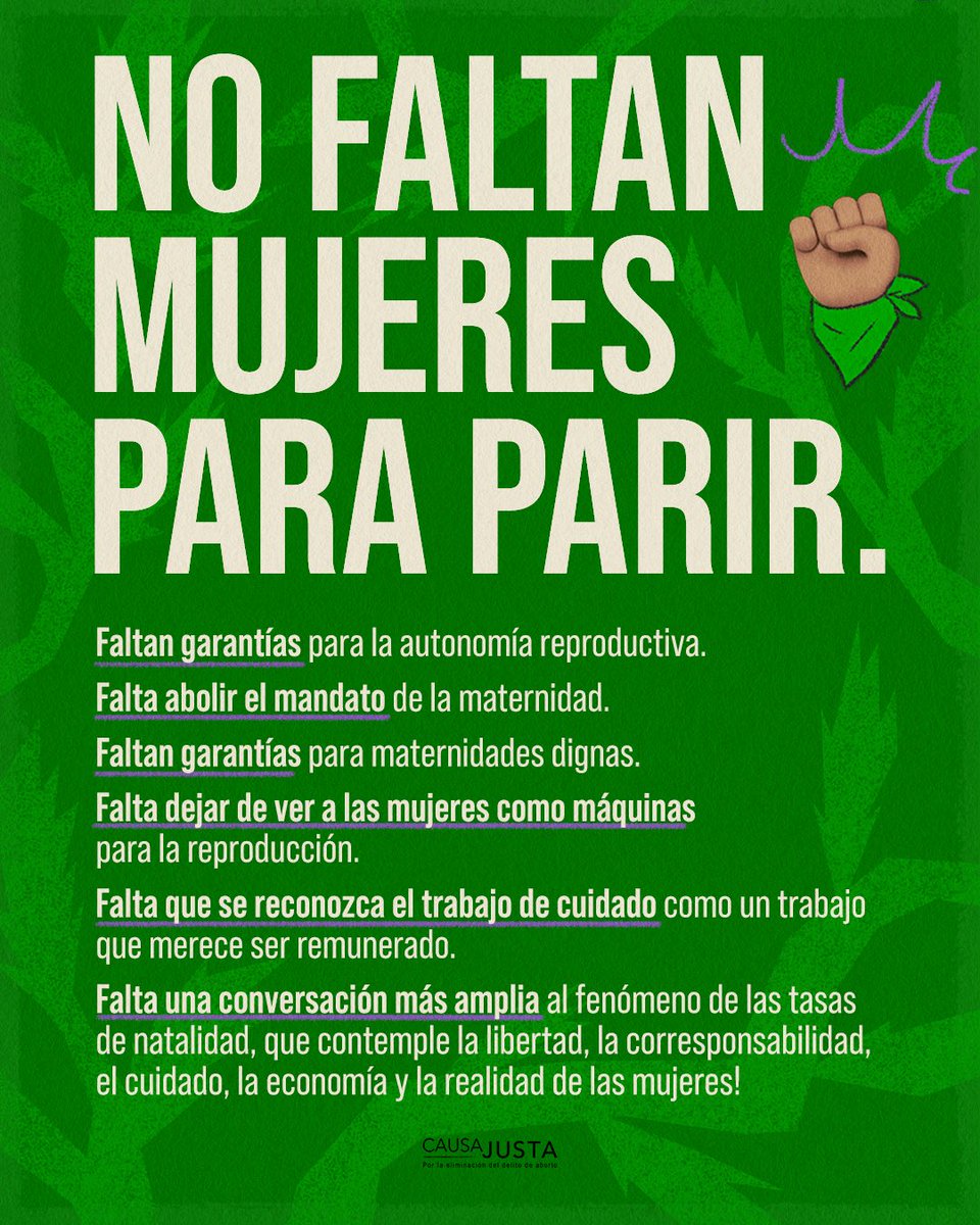 ⚠️ Este #25N, Día de la Eliminación de la Violencia contra las Mujeres, también rechazamos la violencia simbólica de los discursos pronatalistas que menoscaban la autonomía reproductiva. No faltan mujeres para parir, faltan garantías para vidas libres de violencias‼️