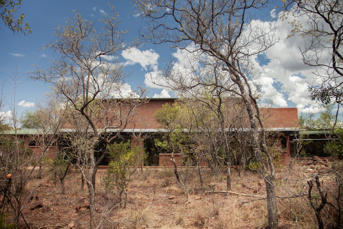 LEMEG Architects, Hope for the Blind Eye Hospital’da doğal ışık, sanat ve peyzajı bütünleştiren mekansal kurgusuyla hastane deneyimini sakin, sezgisel ve doğaya açık bir iyileşme ortamına dönüştürüyor.

📷 Derius Erasmus, Alet Pretorius

yapidergisi.com/hope-for-the-b…