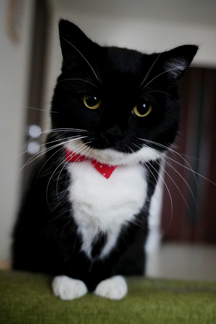 unicouniuni3's tweet image. Uni’s here with warmth