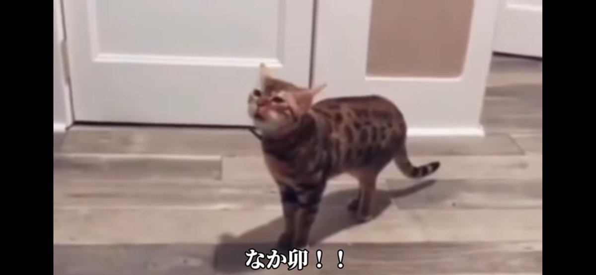 Advanced_BABY's tweet image. 行くぞ行くぞ行くぞ