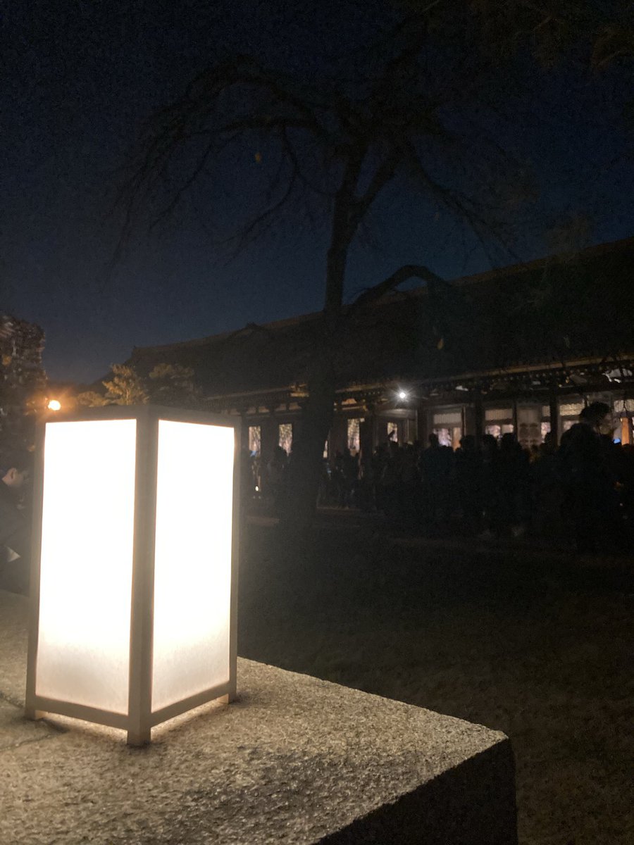 AtsukiRun's tweet photo. 三十三間堂　特別夜間拝観
全てが幻想的で世界観に吸い込まれた

#三十三間堂
#特別夜間拝観
#京都　夜間拝観
#ブラタモリ https://t.co/NIyEdkgpfL