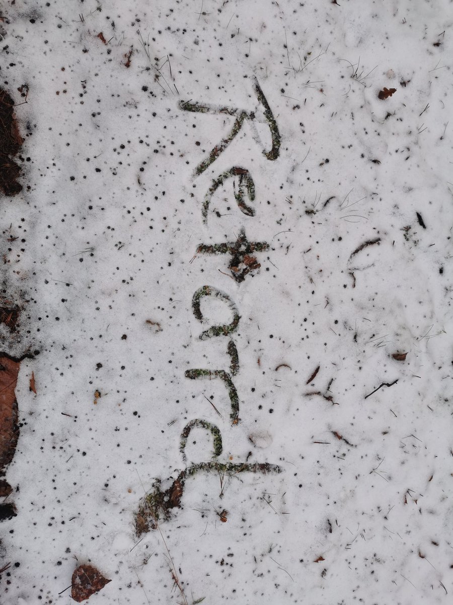 DireNewsBlog's tweet image. First snow #retars #winter $fre