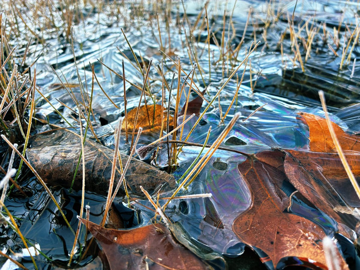 kevinfitz1's tweet image. Frosty Monday morning #frost #pawx