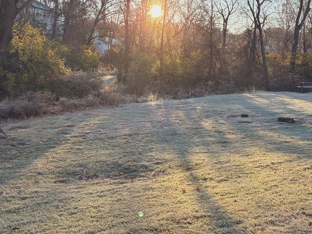 kevinfitz1's tweet image. Frosty Monday morning #frost #pawx