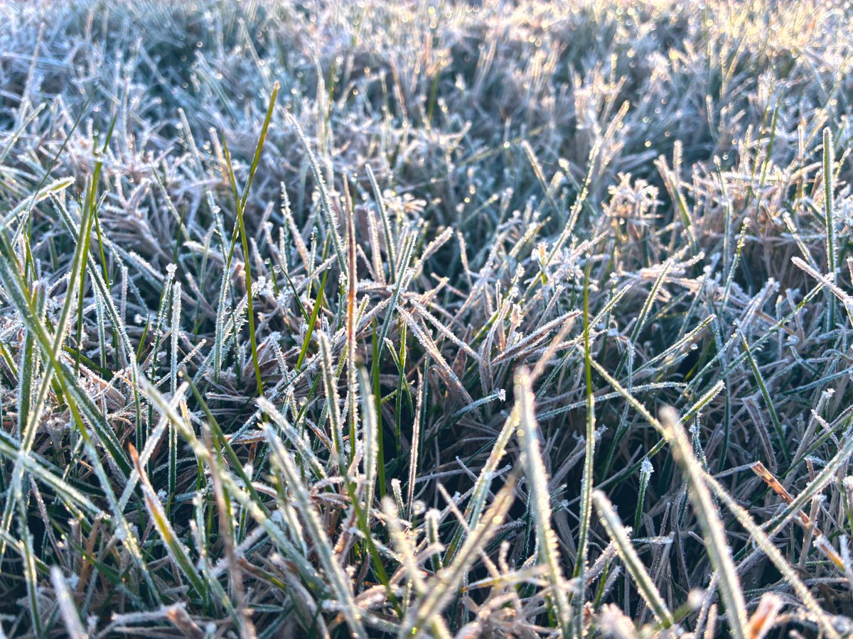 kevinfitz1's tweet image. Frosty Monday morning #frost #pawx