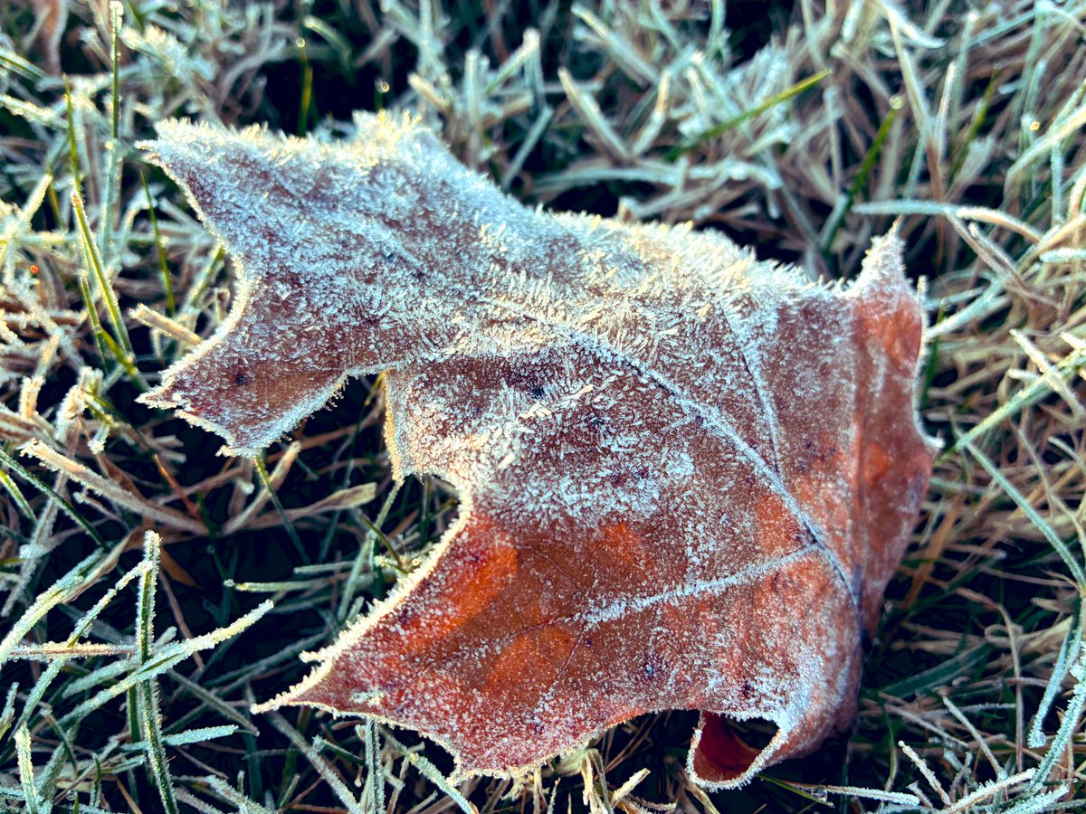 kevinfitz1's tweet image. Frosty Monday morning #frost #pawx
