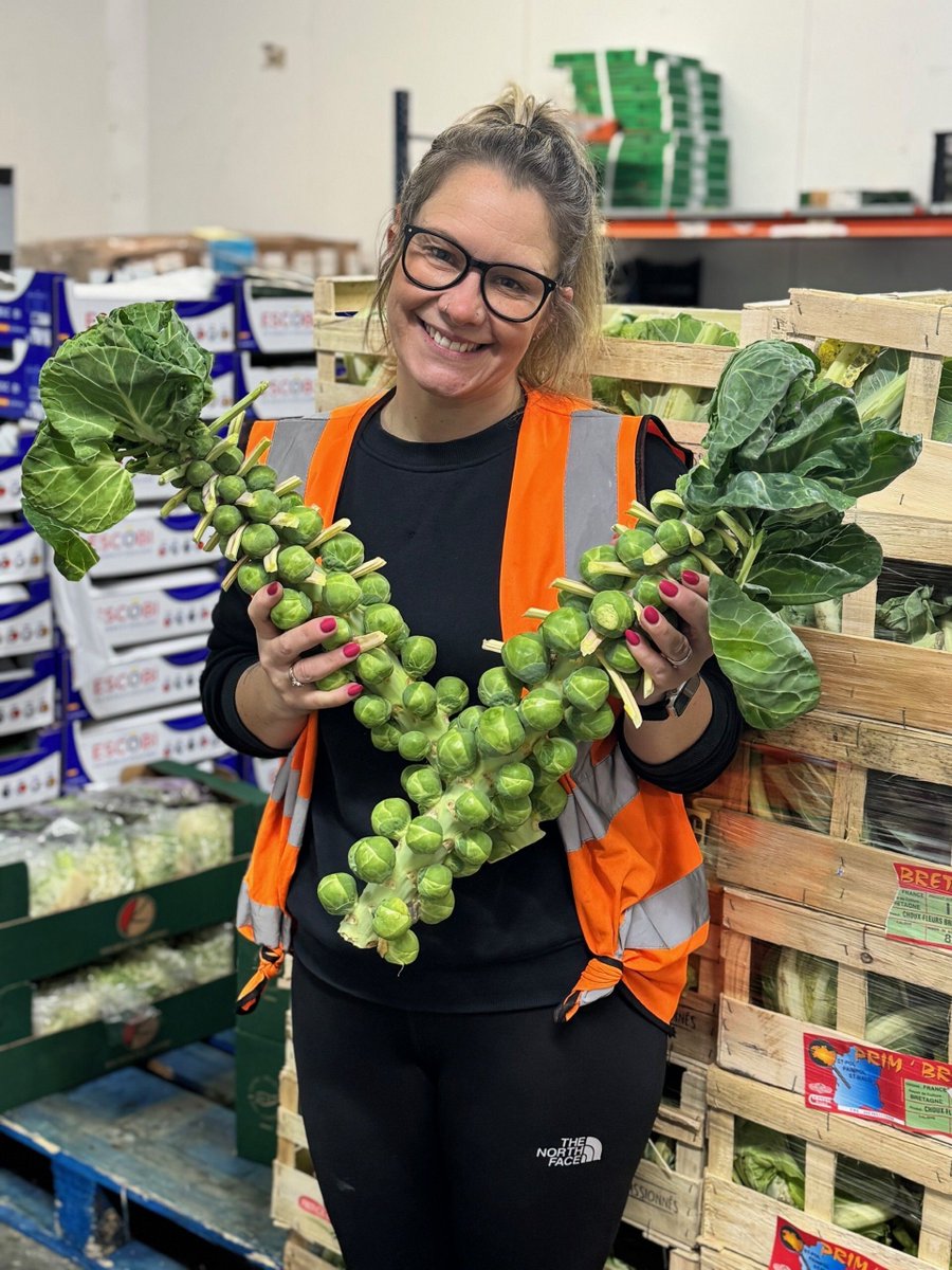 It’s beginning to look a lot like Christmas in the kitchen… 🎄

Fresh UK sprouts on stalks have arrived - vibrant, seasonal and perfect for adding that festive flair to your winter menus.

Bring some Christmas magic to your plates this season. Order yours on 01380 860968