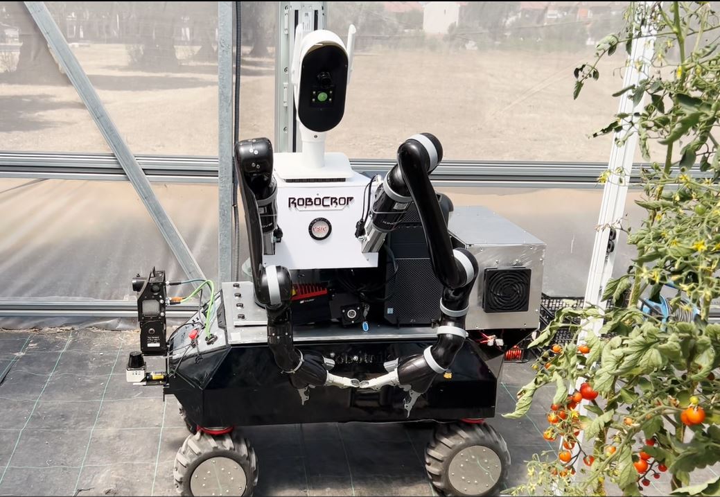 CARobotica_'s tweet image. 🤖 ¡#Robocrop también estará en el #IndustryDay! 🤖

👨‍🌾🌿 Es un proyecto de nuestro grupo de Robótica de Campo y de Servicio liderado por Roemi Fernández. 

🍐🍅 Estamos ante un robot capaz de recoger frutas y verduras de manera selectiva sin dañar los alimentos.

@CSIC @La_UPM