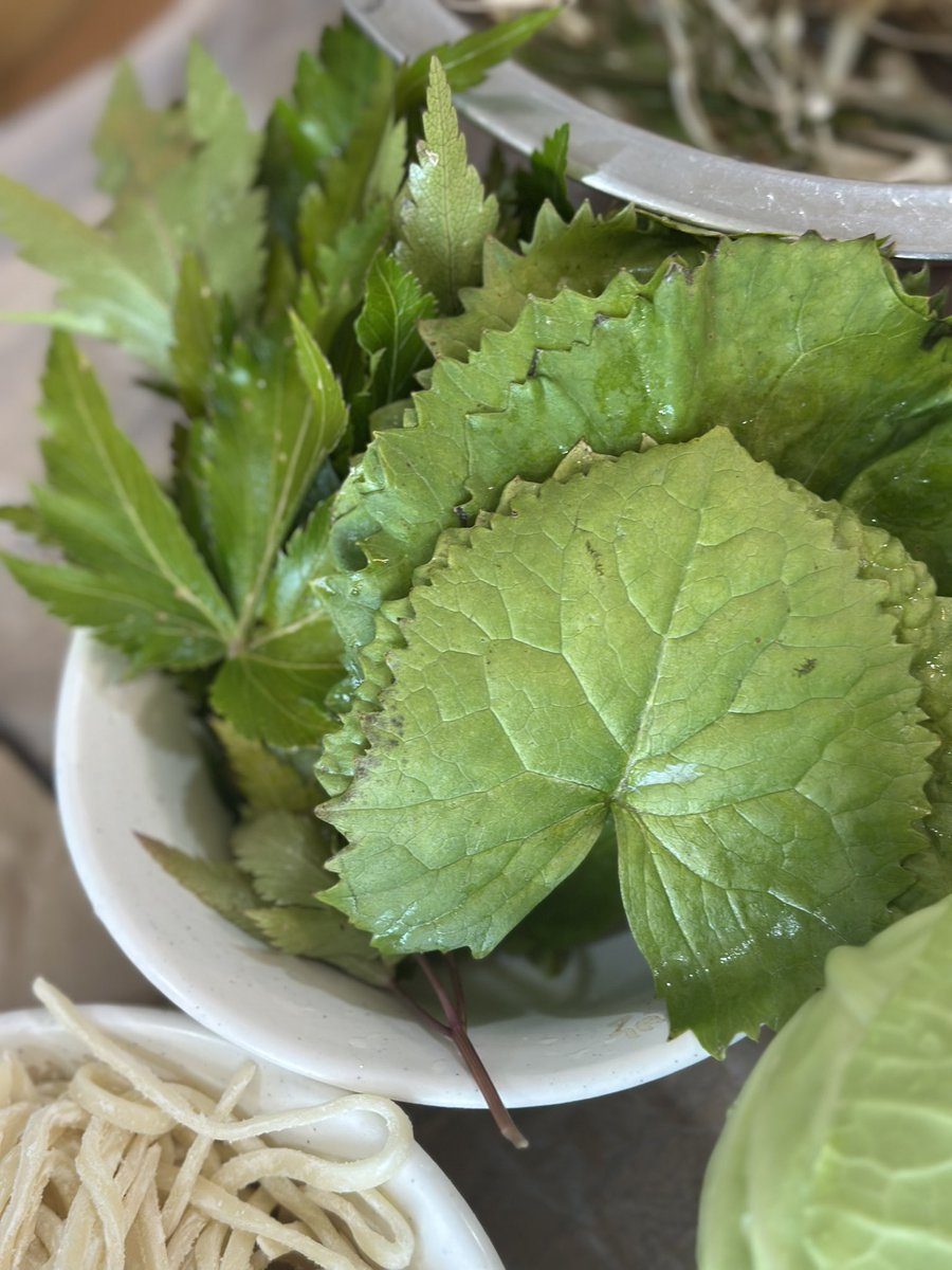 豊永裕美.食材探検家 (@harapeko64chan) / Posts and Replies / X