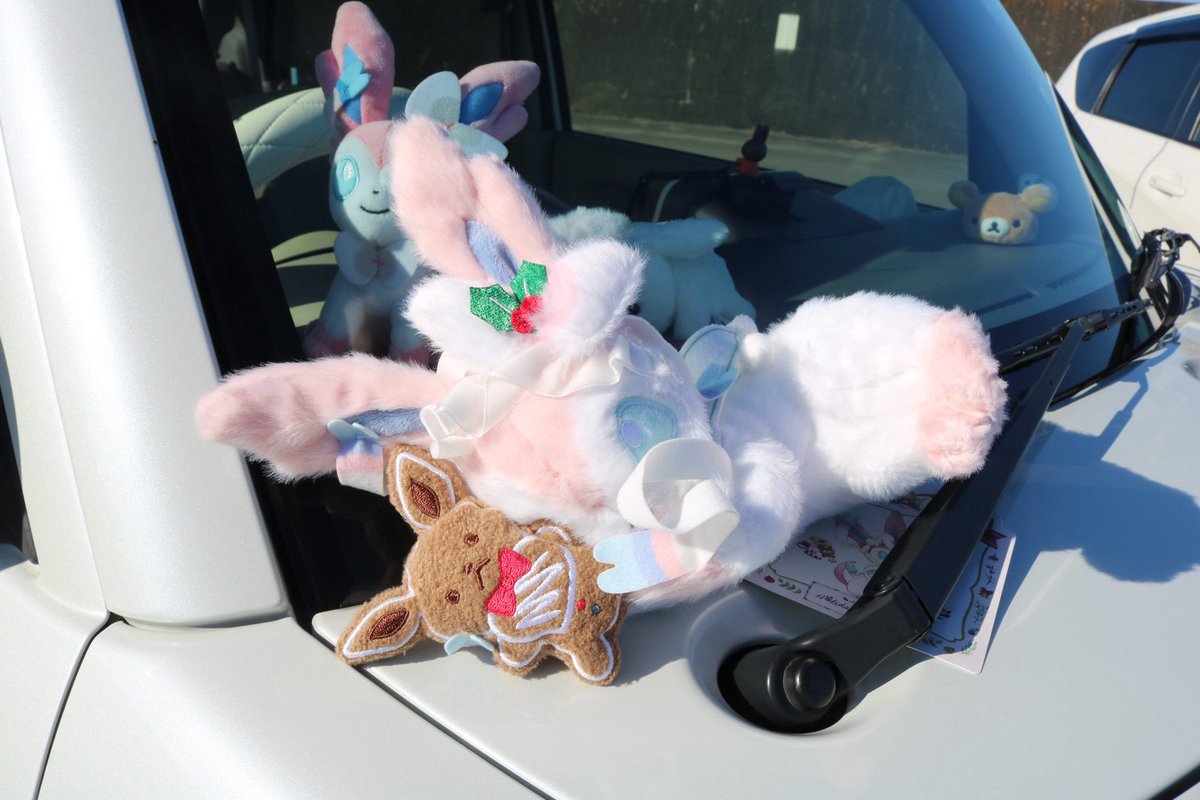 choco_choco__o0's tweet image. 海にドライブ行きました🚗³₃

ホリデーニンフィアちゃん可愛い🎄🎀