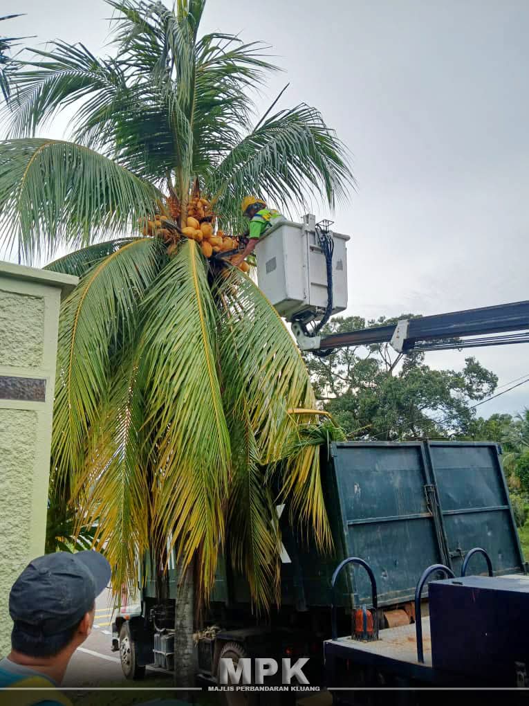 mpkluang's tweet photo. KERJA-KERJA PEMBERSIHAN POKOK LIAR DI ATAS RIZAB JALAN

Isnin | 24 November 2025 https://t.co/fOJHZIqipI