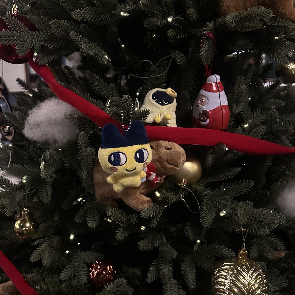 우리도피맥햇다랒님따라