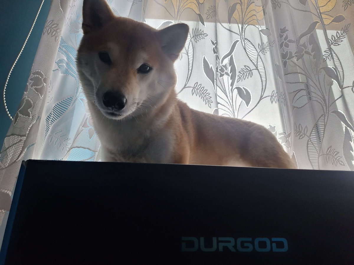 osurooms's tweet image. Pojawimy się na #Remcon i z tej okazji będziemy losować klawiaturę(nie mylić z psem)

DURGOD Taurus K310  na MX Brown. Mechanizm losowania wybierzemy na podstawie opinii biegłych w zakresie śmieszności, zobaczymy co będzie śmieszniejsze i wybierzemy bliżej konwentu.