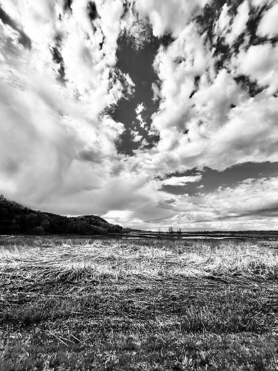 r_u_c_n_o_k_'s tweet image. Good morning beautiful people 🌞Have a blessed Monday